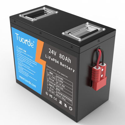 ISO9001 Batteria agli ioni di litio LiFePo4 24V 80Ah AGV RGV Fornitore di alimentazione del robot