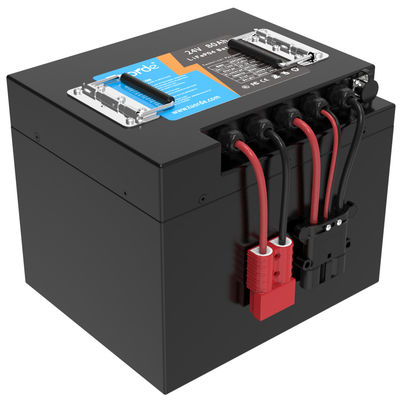 Litio ferro fosfato batterie al litio personalizzate 24V 80Ah